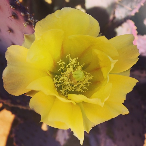 It’s me, Annaliese💜 - Picture 3 of 3